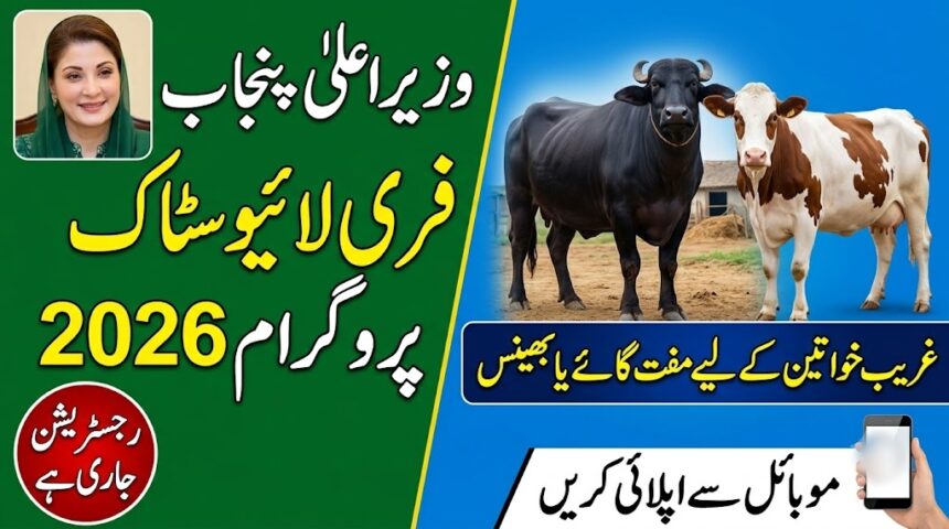 CM Punjab Free Livestock Program 2026